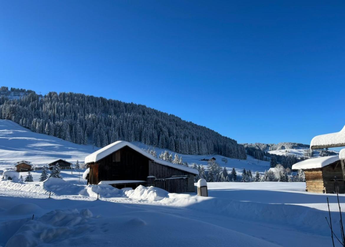 Le Chalet Du Cret - 8 Pers, Tout Confort Avec Jacuzzi Нотр-Дам-де-Белькомб Экстерьер фото